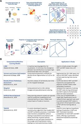 Phenotypic maps for precision medicine: a promising systems biology tool for assessing therapy response and resistance at a personalized level